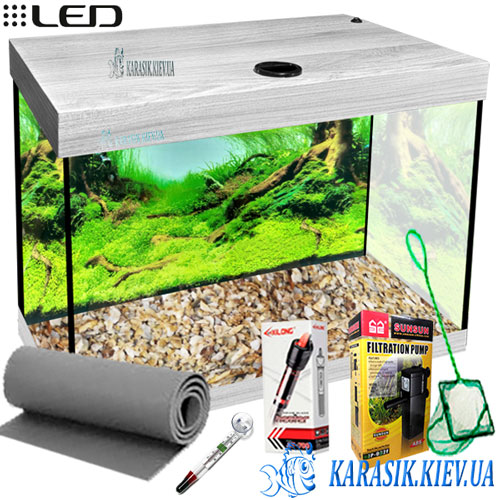 Auarium While Dub 30 Karasik