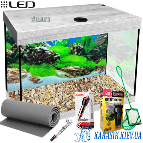 Auarium While Dub 30 Karasik