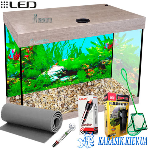 Auarium While Dub 30 Karasik