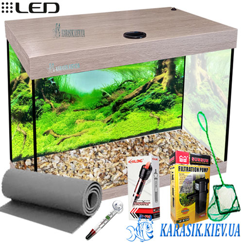 Auarium While Dub 30 Karasik