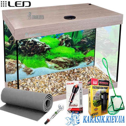 Auarium While Dub 30 Karasik