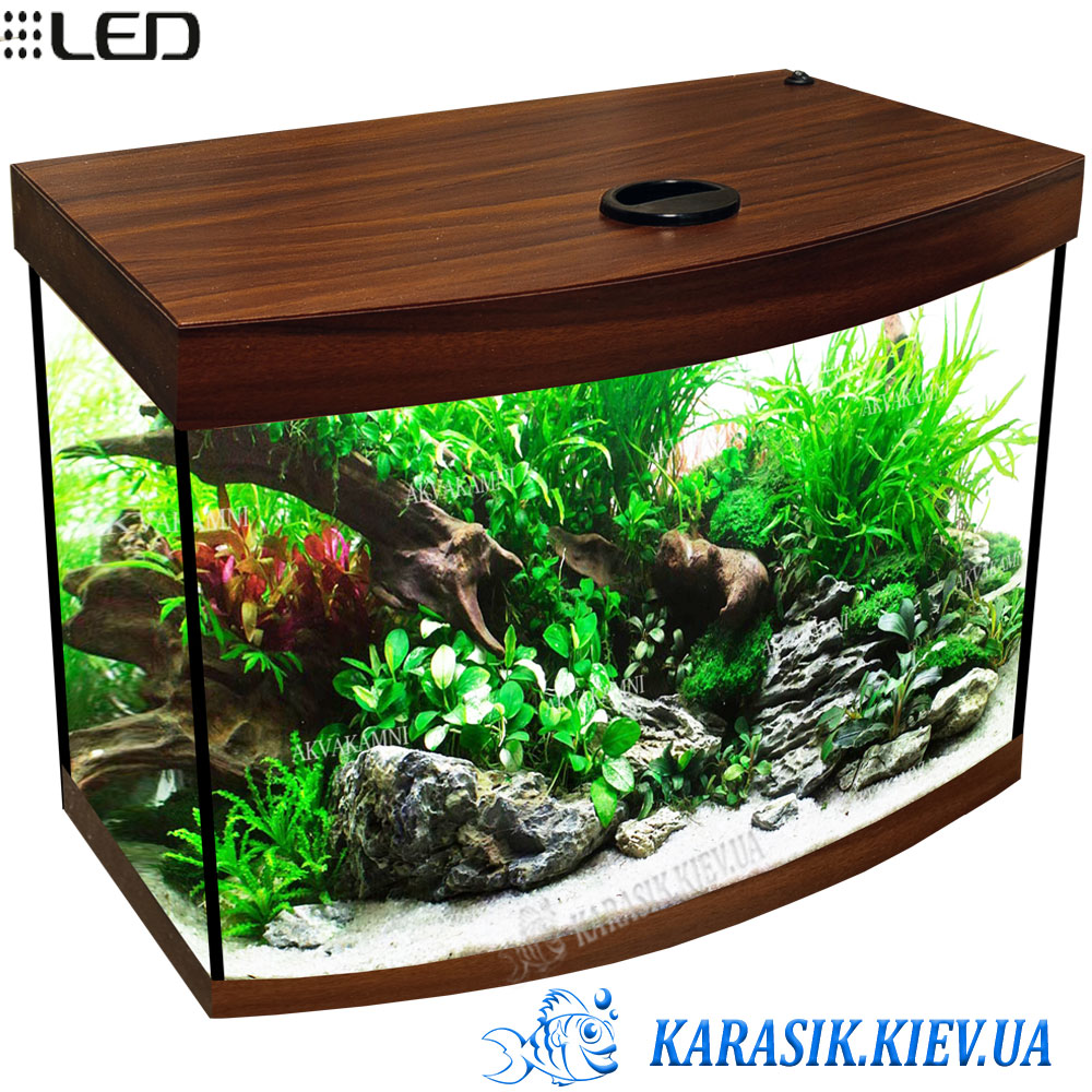 Akva Karasik Oval NUT