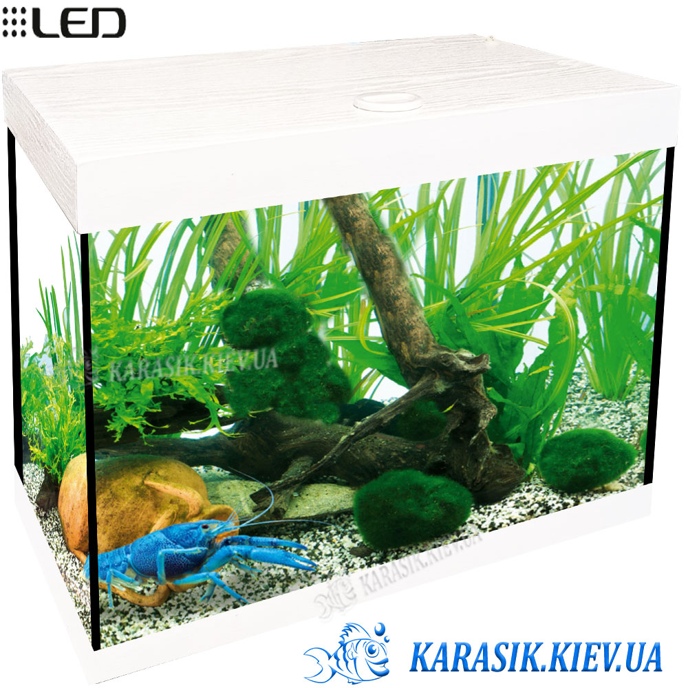 Akva Karasik Prmoyl Wayt