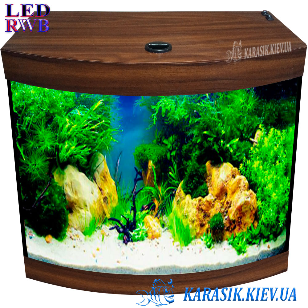 Аквариум RGB Wite 500