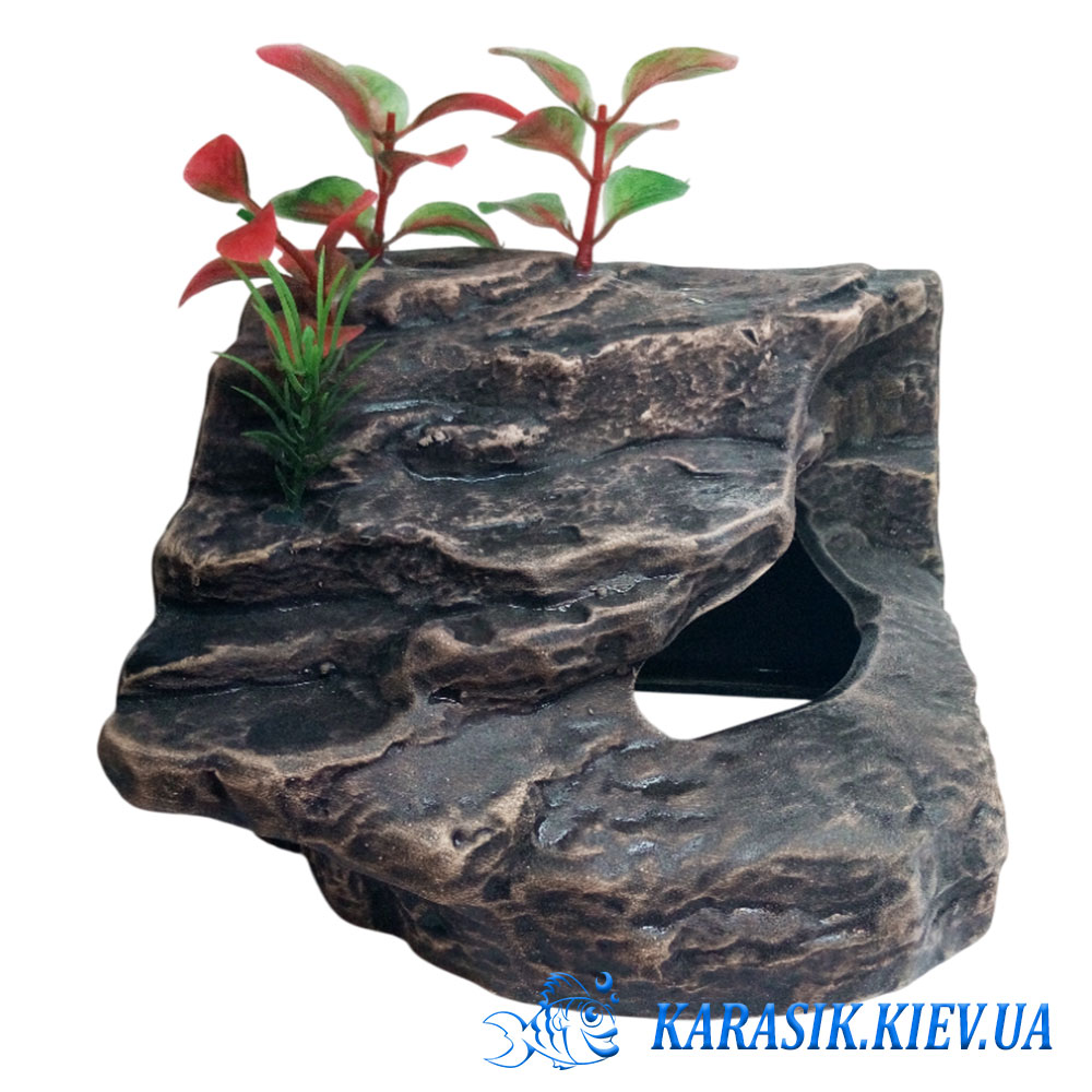 Вылаз для черепахи