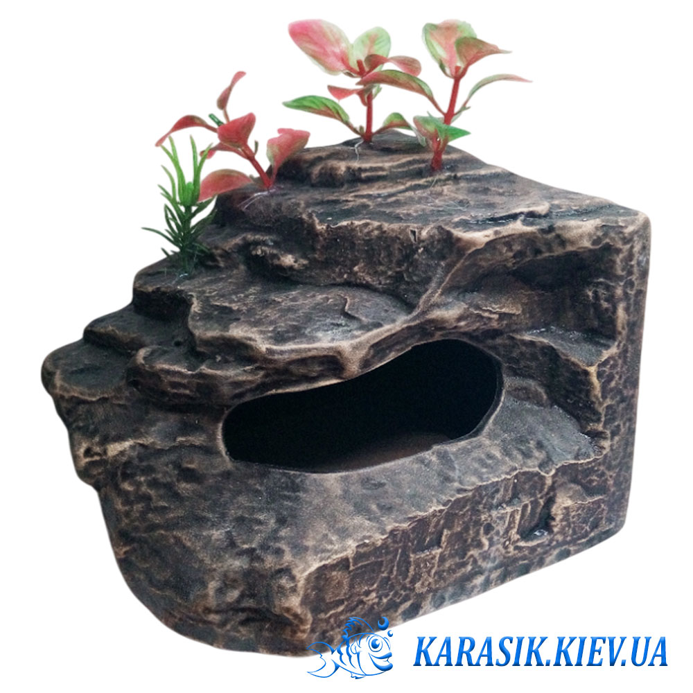 Камень в акваруим