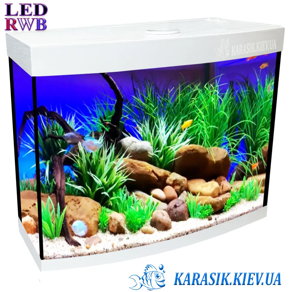 Аквариум с Крышкой LED RWB 40 л. Белый Овал 40*25*44