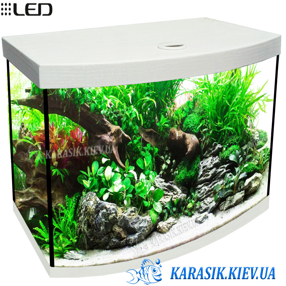 Акваріум Білий O-80 LED з Кришкою Овал 60*30*49