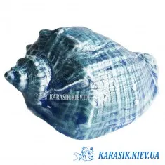 Акваріумна Кераміка - Рапан Малий Синій