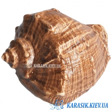 Украшение для аквариума - Декор в аквариум