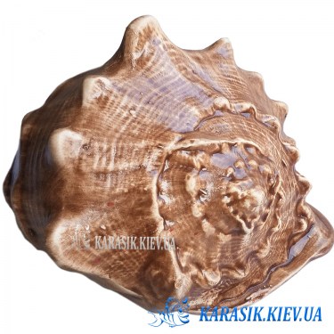 Рапан керамика