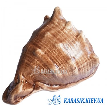 Рапан керамика