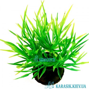 Растения для Аквариума | Искусственное Растение в Аквариум