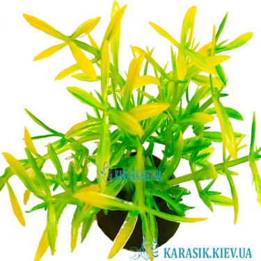 Искусственные Аквариумные Растения -1195 | karasik.kiev.ua