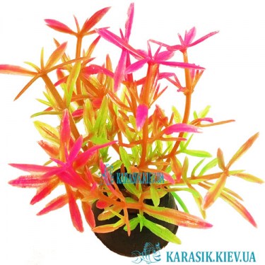Аквариумные растения 1258 - 25 см. | karasik.kiev.ua