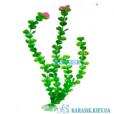 Искусственные Аквариумные Растения -1354  | KARASIK.KIEV.UA