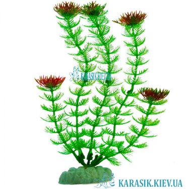 Растения для Аквариума | Искусственное Растение в Аквариум