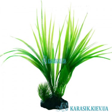 Растения для Аквариума | Искусственное Растение в Аквариум