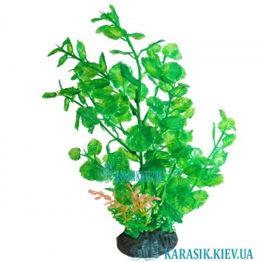 Растения для Аквариума | Искусственное Растение в Аквариум