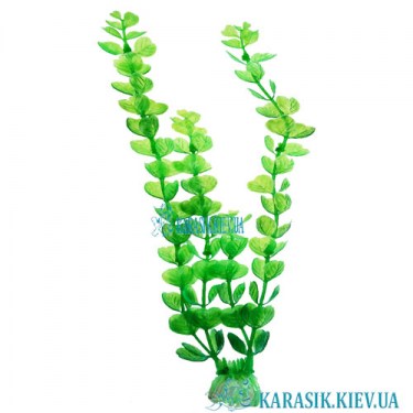 Искусственное Растение - 676- 20 см | Растения в Аквариум