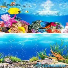 Аквариумный Двухсторонний Фон высота 40 см. за 10 см.