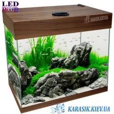 Аквариум LED RWB A-18 л. Орех Прямой 30*20*34