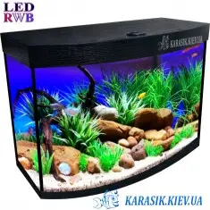 Аквариум с Крышкой LED RWB 30 л. Черный Овал 40*25*34