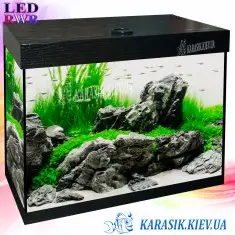 Аквариум LED RWB 45 л. Черный Прямой 50*30*34