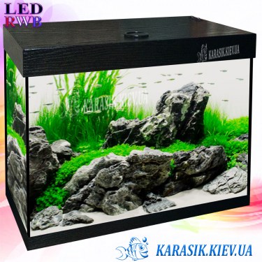 Аквариум LED RWB Черный Прямой 
