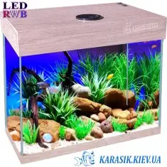 Аквариум LED RWB A-15 л. Дуб Санта Прямой 30*20*30