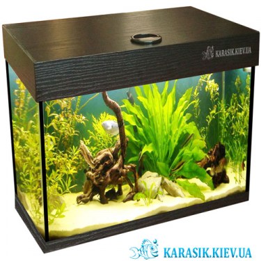 Акваріум A-25 з Кришкою LED прямий 40*25*30 