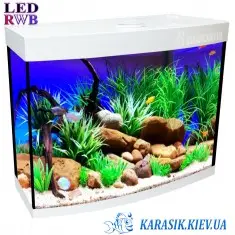 Аквариум с Крышкой LED RWB 40 л. Белый Овал 40*25*44