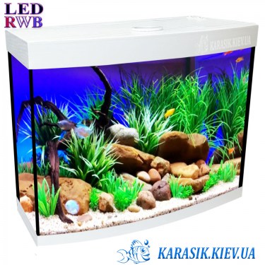Аквариум Белый RGB -  Аквариумы LED