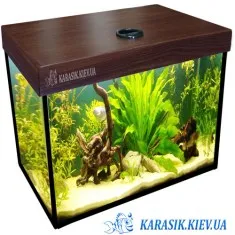 Аквариум A-30 LED Крышкой Прямой 40*20*34 (Венге)