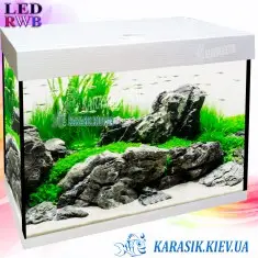 Аквариум LED RWB 45 л. Белый Прямой 50*30*34