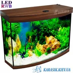 Аквариум LED RWB 60 л. Орех Овал 60*30*39