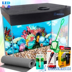 Aquarium-B47