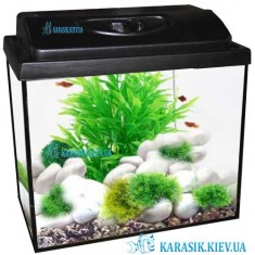 Аквариум с Крышкой 30 л. Прямой 40*25*30 | Аквариумы KARASIK