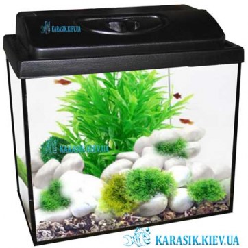 Аквариум с Крышкой 25 л. Прямой 40*25*25 | KARASIK.KIEV.UA