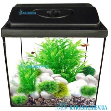 Аквариум с Крышкой 30 л. Прямой 40*25*30 | Аквариумы KARASIK