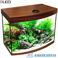 Аквариум O-40 с Крышкой LED Овал 40*25*44 (Орех)