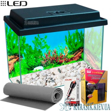 Аквариум для петушка