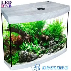 Аквариум LED RWB 70 л. Дуб Серый Овал 60*30*44