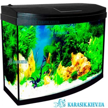 Аквариум с Крышкой О-15 LED овал 35*17*32 (Черный) - Karasik-Kiev-ua