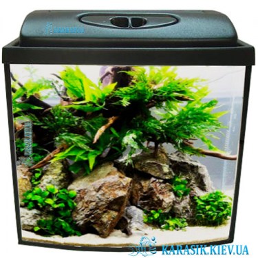 Аквариум с Крышкой 24 л. Овал 40*25*25 | Аквариум 25 литров