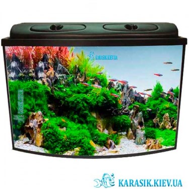 Aquarium-black_New_Karasik-DKarasik_
