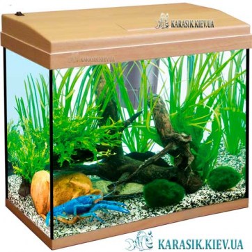 Аквариум с Крышкой A-140 LED прямой 80*35*54 (Бук) | Купить аквариум