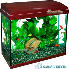Аквариум с Крышкой A-60 LED прямой 53*28*43 (Красное Дерево) | Аквариум Прямоугольный 60 литров