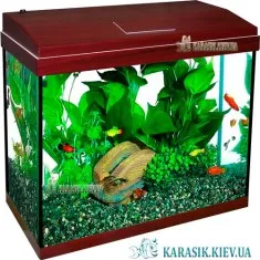 Аквариум с Крышкой A-60 LED прямой 53*28*43 (Кр Дерево)
