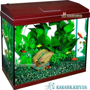 Аквариум с Крышкой A-60 LED прямой 53*28*43 (Красное Дерево) | Аквариум Прямоугольный 60 литров